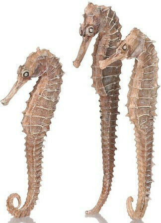Oase biOrb Seahorse Διακοσμητικό Ενυδρείου