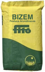 Fytro Seeds Fescue