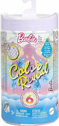 Barbie Chelsea Color Reveal for 3+ years+ Years Barbie Chelsea Color Reveal for 3+ years+ Years