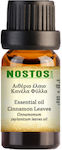 Nostos Pure Ätherisches Öl Zimt 5ml