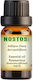 Nostos Pure Essential Oil Rosemary 10ml