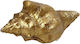 Espiel Dekoratives Muscheln aus Polyresin Gold 9x4.5x4cm 1Stück