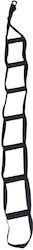 Luxury Fitness Fitness Straps