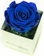 Eternal Rose Blue 9cm in Box Aleiferopoulos Flowers
