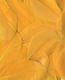 Artemio Yellow Craft Wing