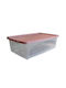 Viomes Πλαστικό Κουτί Αποθήκευσης με Ρόδες και Καπάκι Ροζ 59x40x19.5cm