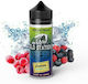 Steam Train Flavor Shot Old Stations 24ml/120ml 1Stück Delizia Double Ice