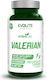 Evolite Valerian 100 κάψουλες