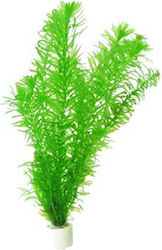 SonGrow Egeria Lebende Aquariumspflanze Elodea densa 64400