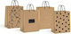 Exas Paper Kraft Gold Paper Gift Bag 33x10x46cm (Miscellaneous Designs/Colours)