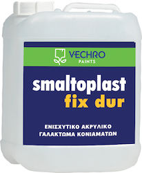 Vechro Smaltoplast Fix Dur Подобрител на мазилки Акрилов подобрител на мазилки 5кг