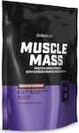 Biotech USA Muscle Mass Drink Powder with Carbohydrates & Creatine Laktosefrei mit Geschmack Vanille 1kg