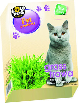 Lolo Pets Χόρτο Γάτας 100gr Grass Cat 54252