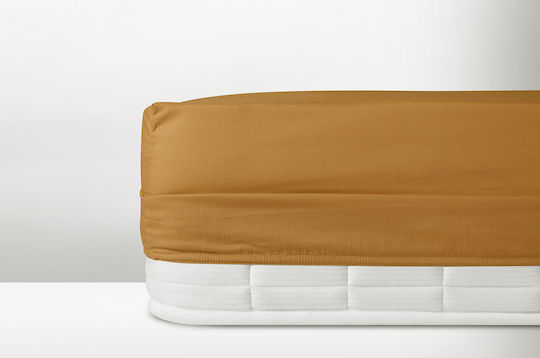 Cannon Bettlaken für Einzelbett mit Gummiband 100x200+30cm. Classic Turmeric