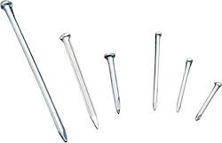 Nail 100pcs 2x20mm