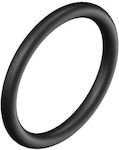 O-Ring Φ 74.3 - 2.6 mm Thickness (1 Pc.)