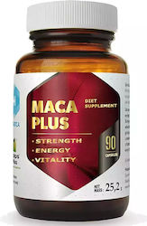 Hepatica Maca Plus 90 κάψουλες Hepatica Maca Plus 90 κάψουλες