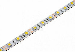 Jager LED Лента 12V със RGB Светлина 5м Jager LED Лента 12V със RGB Светлина 5м