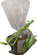 Party Gifts 10 pieces Small biodegradable pot 9x7cm, Ready for Planting with Soil and Basil Seeds