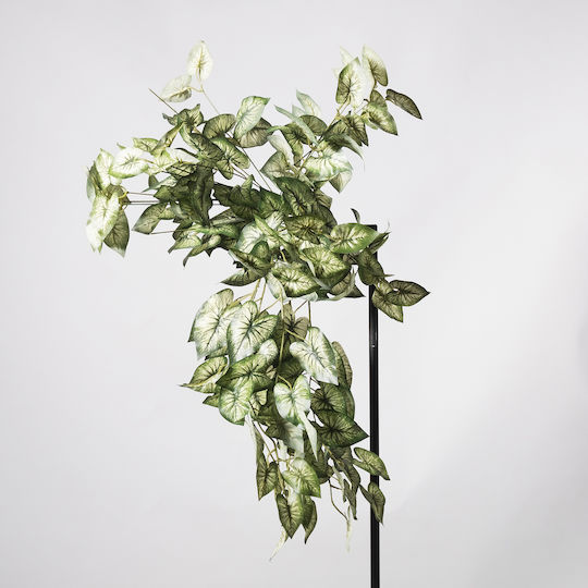 Boston Κισσός 68cm Supergreens