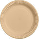 Disposable Plate Paper Plate 18x