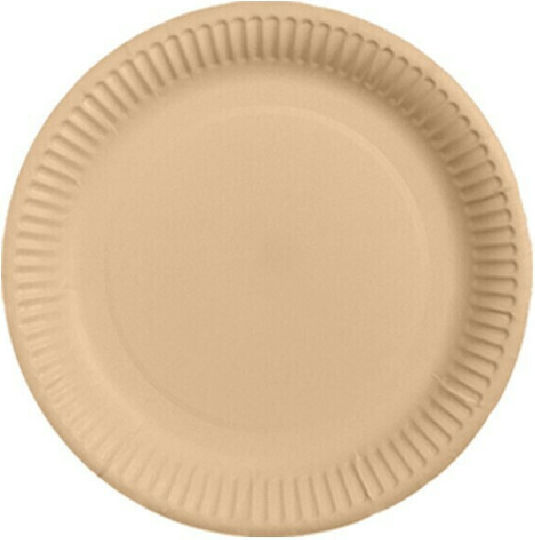 Disposable Plate Paper Plate 18x