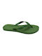 Cubanas Nature02 Men's Flip Flops Green