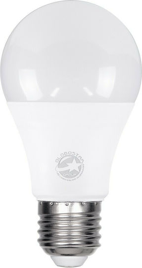 GloboStar LED-Lampe 10W 110mm für Fassung E27 und Form A60 Kühles Weiß 1160lm
