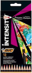 BIC Black Intensity Set 12 Creioane Colorate