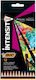 BIC Black Intensity Комплект цветни моливи 12бр Пакет от 1 опаковки