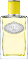 Prada Infusion d'Ylang EDP 100ml Prada Infusion d'Ylang EDP 100ml