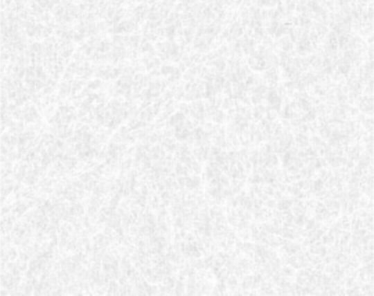 Colorfix Τσόχα Ρολό Λευκό 2.5mm 190FR073