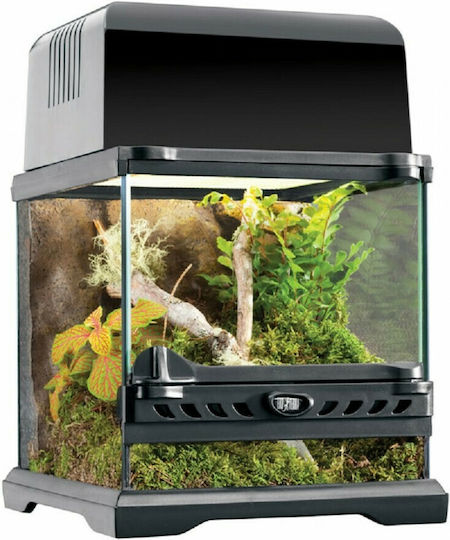 Exo Terra Reptile Terrarium Terrarium