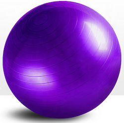 Yuxi 6901028315913 Pilates Ball 65cm Purple