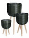 Wooden Plant Pot Green with Stand 33x33x25cm 3 Pieces