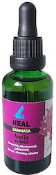 Apel Tinctură 4 Heal Tinctură Luiza 50ml