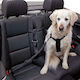 Kerbl Seatbelt Car for Dog Dog Chest Harness 80-110cm. Black