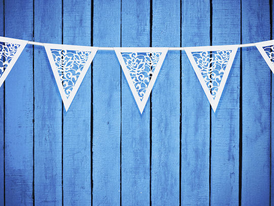PartyDeco Party Decorations Flags 19.5cm