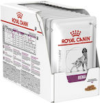 Royal Canin Renal Veterinary 9003579016800 Nassfutter mit Geflügel und Schweinefleisch 1 x 100g