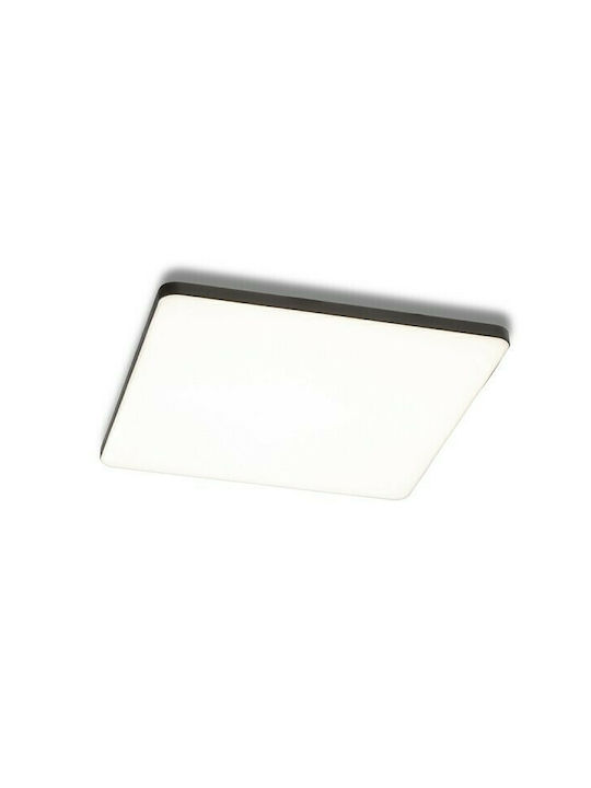 Rendl Light Studio BJORK SQ 20 Modern Metallic Ceiling Mount Light with Integrated LED in Black color