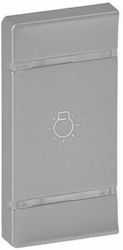 Legrand Power Socket Front in Silver Color 755527