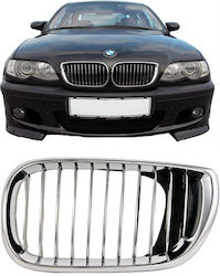 Carner Car Decorative Mask BMW E46 / Series 3 (E46)