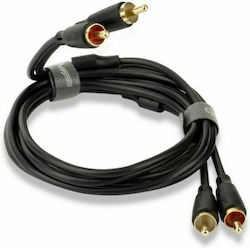 QED QE8101 RCA male - RCA male 0.75m