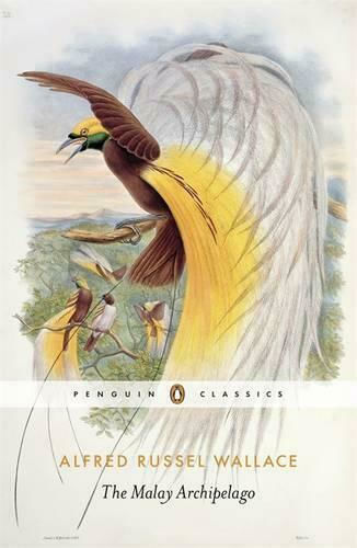 The Malay Archipelago The Malay Archipelago