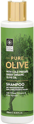 Bodyfarm Pure Olive Σαμπουάν για Ενυδάτωση για Ξηρά Μαλλιά 250ml