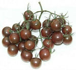 Cherry F1 Samen Tomateς
