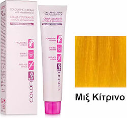ING Colouring Cream With Fruit Acids Βαφή Μαλλι...
