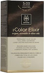 Apivita My Color Elixir Set Hair Dye no Ammonia 5.03 Chestnut Open Natural Honey 125ml