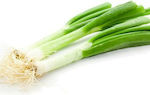 Seeds Leek 2800pcs