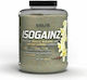 Evolite Isogainz Ohne Gluten & Laktose mit Geschmack Vanille 4kg